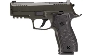 P226